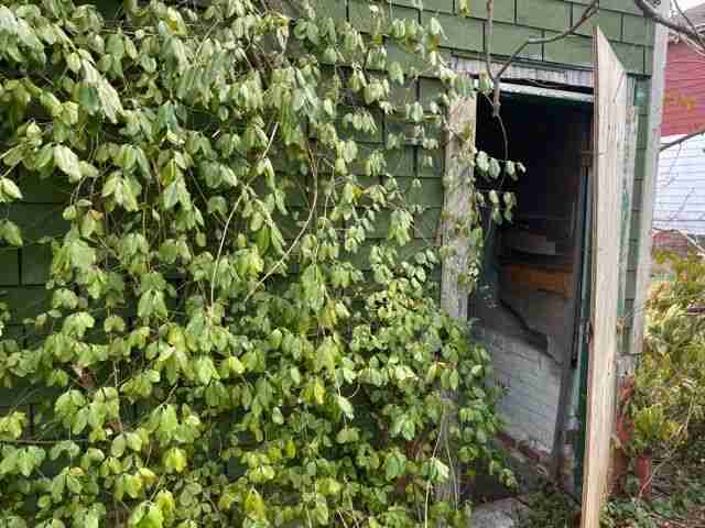 Testing again(7).jpg